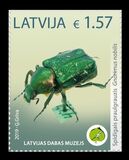 [Unique Exhibits of the Latvian Museum of Nature  - Beetle, type AFI]