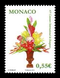 [The 45th International Bouquet Competition, タイプ DOG]