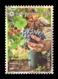 [The 150th Anniversary of Viticulture in Uruguay, タイプ GNJ]