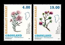 [Greenlandic Plants, type AEM]