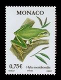 [Flora and Fauna of the Mediterranean, tegund CZP]