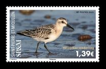 [Birds - Sanderling, type EKX]