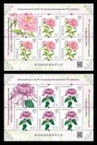 [Flowers - The 19th International Botanical Congress, Shenzhen, typ AIB]
