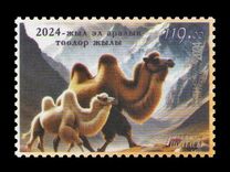 [International Year of the Camel, Scrivi AYQ]