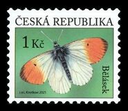 [Definitives - Insects - The Orange Tip, タイプ APJ]