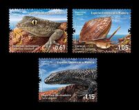 [Fauna - Endemic Species of Medira, type NS]