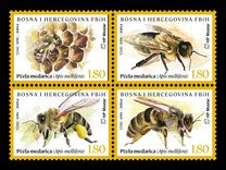 [Insects - Bees - Apis mellifera, type VX]