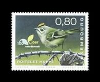 [Rare Birds of Luxembourg, タイプ BZE]