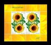 [Flowers - Sunflower, type AAI]