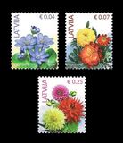 [Flowers - "2021" Imprint, type YU5]