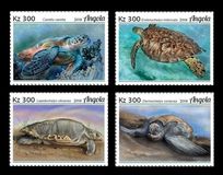 [Fauna - Turtles, type BKK]