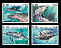 [Marine Life - Dolphin, type BKP]