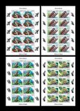 [Birds - Woodpeckers, type BNC]