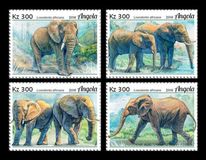 [Fauna - Elephants, type BNH]