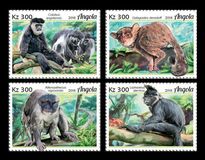 [Fauna - Primates, tip BOB]