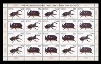 [Beetles, típus MS]