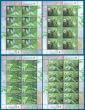 [WWF - Dragonfly the Green Snaketail, type ACN]