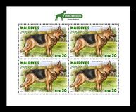 [Fauna - Dogs, tegund KUM]