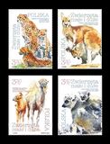[Small and Large Animals, Tipi IGV]
