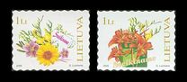 [Flowers - Congratulations, type SV]