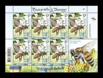 [Beekeeping in Belarus, Typ BBO]