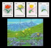 [Flowers - Tulips, Tip AFT]