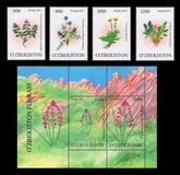 [Rare Plants, type AGG]