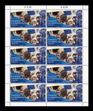 [European Elections, տեսակ BYI]