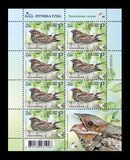 [Bird of the Year - The European Nightjar, 類型 BCV]