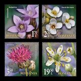 [Flora from National Reserves, type LGW]
