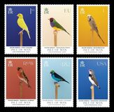 [Show Birds, Вид CVO]