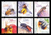 [Beneficial Insects, Typ IJZ]