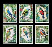 [South American Birds, type XG]