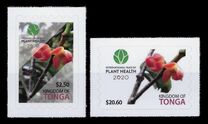 [International Year of Plant Health, type CDU]