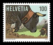 [The 100th Anniversary of Swiss Federation of Livestock Farming of the Herens Breed, type CXF]