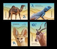 [Desert Fauna, type LJI]