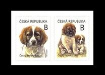 [Young Animals - Puppies - Canis lupus familiaris, type AQG]