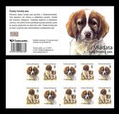 [Young Animals - Puppies - Canis lupus familiaris, type AQG]