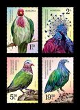 [Birds - Exotic Pigeons, type LKQ]