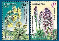 [Flowers - Endangered Plants of Belarus, typ ADJ]