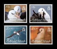 [Birds - Black-Browed Albatross - Thalassarche melanophris, type AZH]