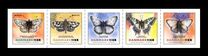 [Insects - Butterflies, type BAI]