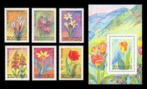 [Flowers of Uzbekistan, տեսակ AI]
