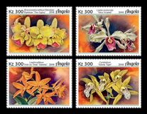 [Flowers - Orchids, tip BNM]