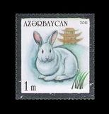 [Year of a Rabbit, տեսակ ACO]
