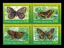 [Insects - Yellow-Banded Skipper, type TS]