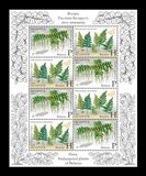 [Flora - Endangered Plants of Belarus, type AFQ]