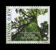 [Tourism - Oak Woods, type AHF]