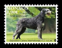 [International Dog Show - Monaco, tyyppi EDI]