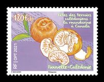 [Canala Tangerine, Typ BCY]